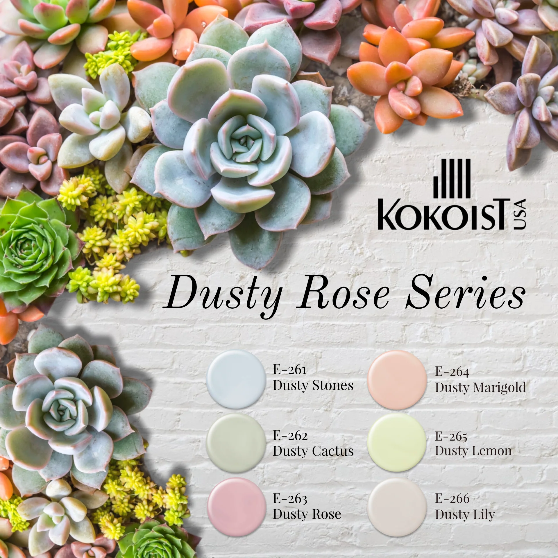 Dusty Rose Series E261-E266 - Image 2