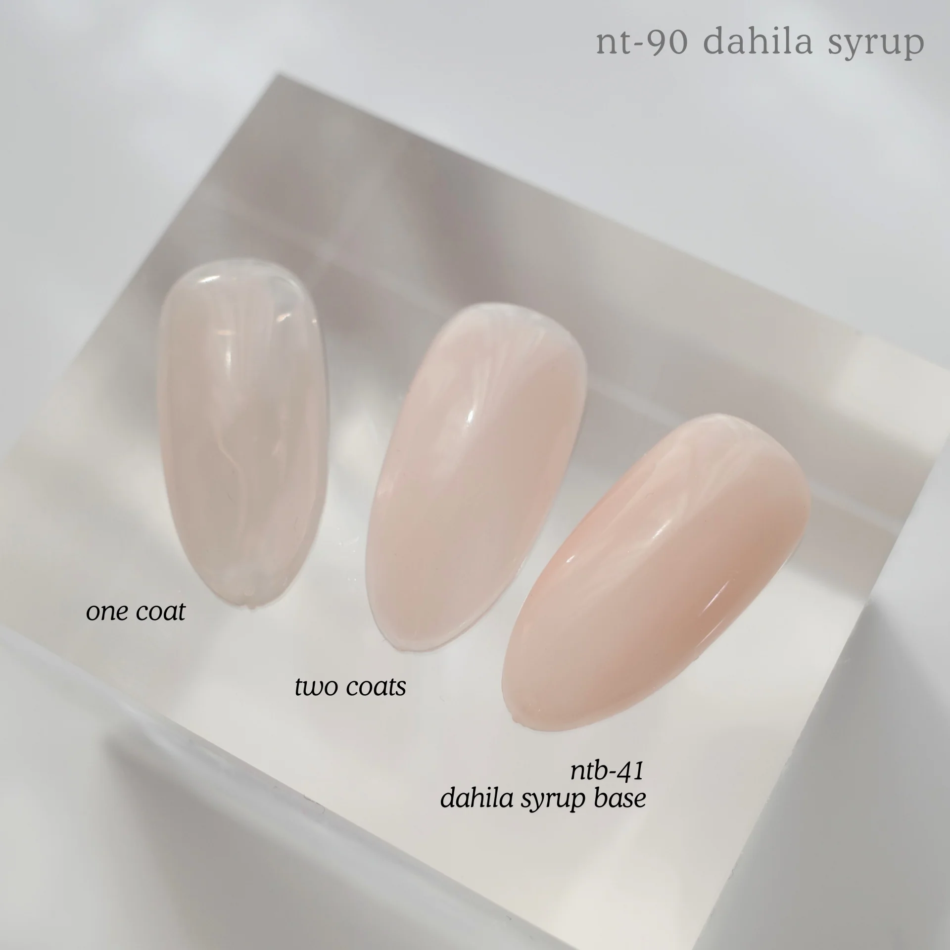 NTB-41 Dahlia Syrup Base - Image 2