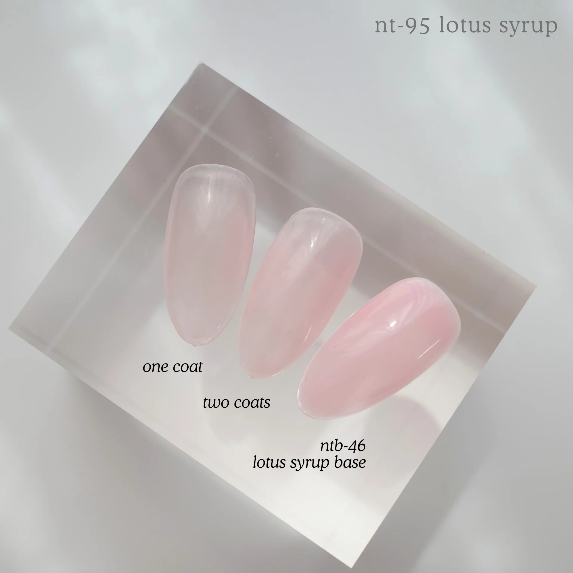 NTB-46 Lotus Syrup Base - Image 2