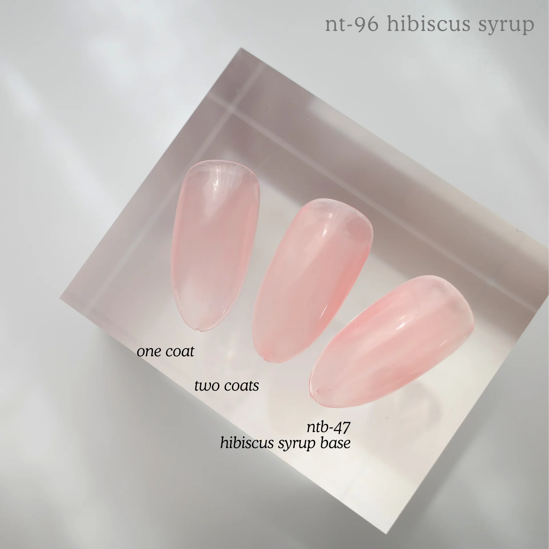 NTB-47 Hibiscus Syrup Base - Image 2