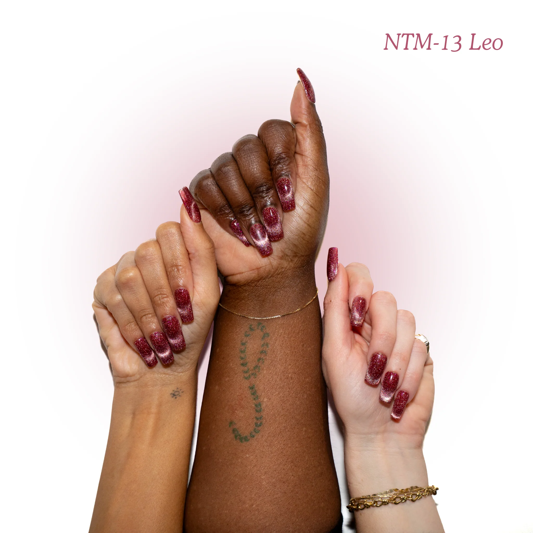 NTM-13 Leo - Image 3
