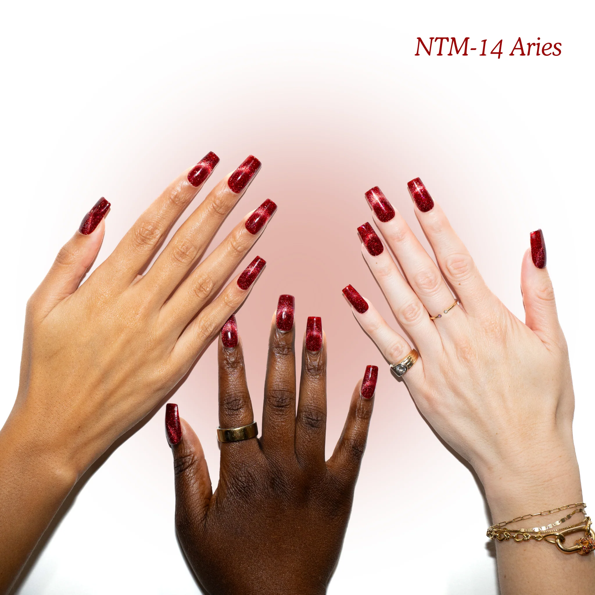 NTM-14 Aries - Image 3