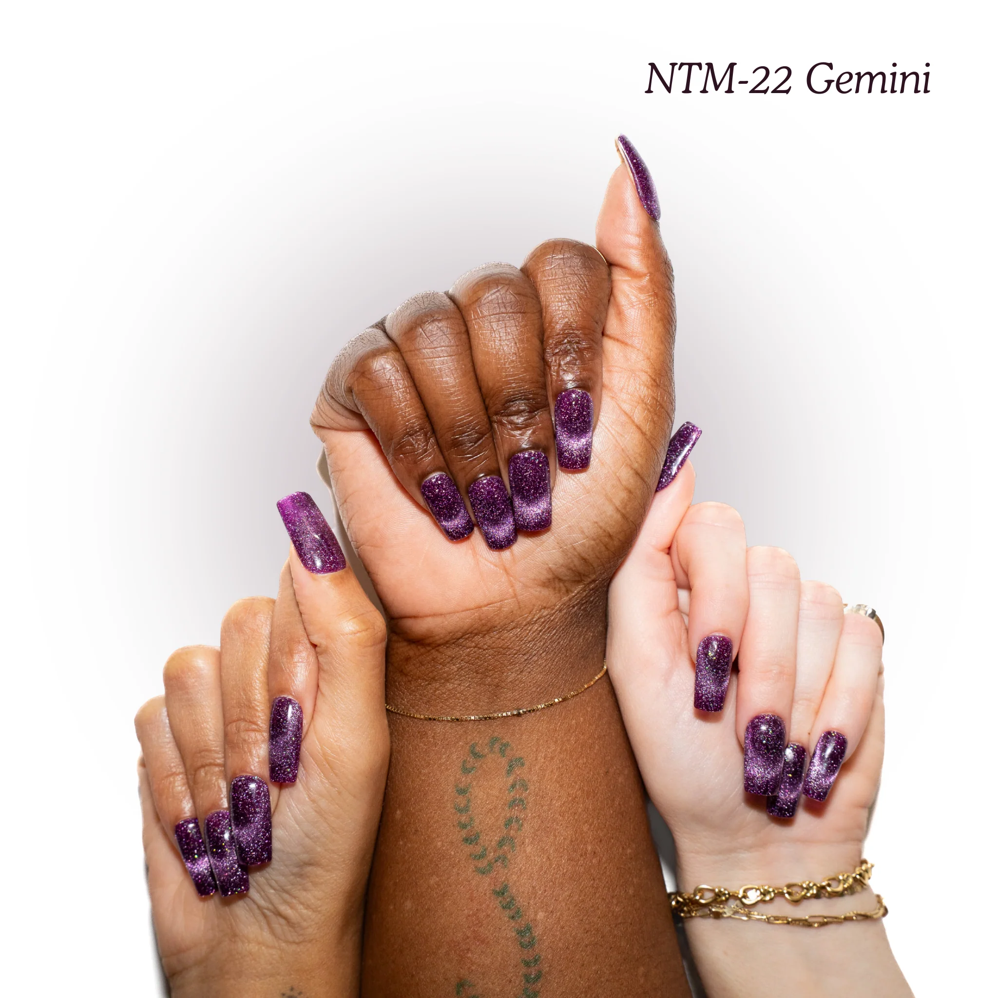 NTM-22 Gemini - Image 3