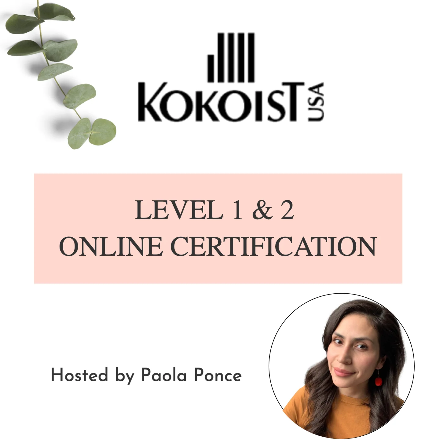 Paola Online Certification Class Entire Kit - Image 3